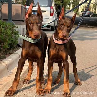 ���N���eȮ���w���eȮ��ë����Ȯ��ϵ���e�o�lȮ���e�����������l