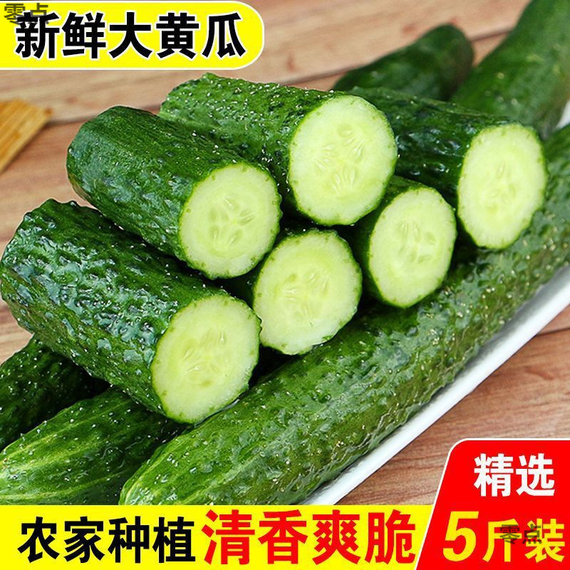 河北省農家の野菜グリーンハートとげのある果物キュウリ新鮮な生のキュウリはシャキシャキしていて美味しいとげのあるキュウリ卸売送料無料|undefined