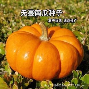 �o���ϹϷN�������Ϲϰ���ζ��Ŵ�������ϹϷN�ѸC���Ϲ�Ʒ�N��ȫ