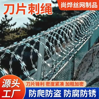 刀片刺绳不锈钢刺丝滚笼热镀锌防锈带刺铁丝防盗防爬刺围墙防爬网