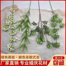 �¿�ɭϵ��Y��G�\�G��֦���ݝM�����ѹ�Ӣ���~��·���廨