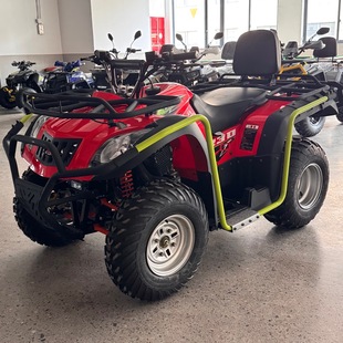 Arctic Tianlongxin Four-Wheel 200C Continuously Variable Transmission Bashan Whs Beach Vehicle Adult Two-Seater Off-Road Motorcycle Atv