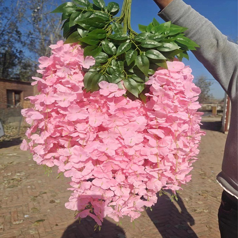 특별한 콩 꽃-깊은 분말