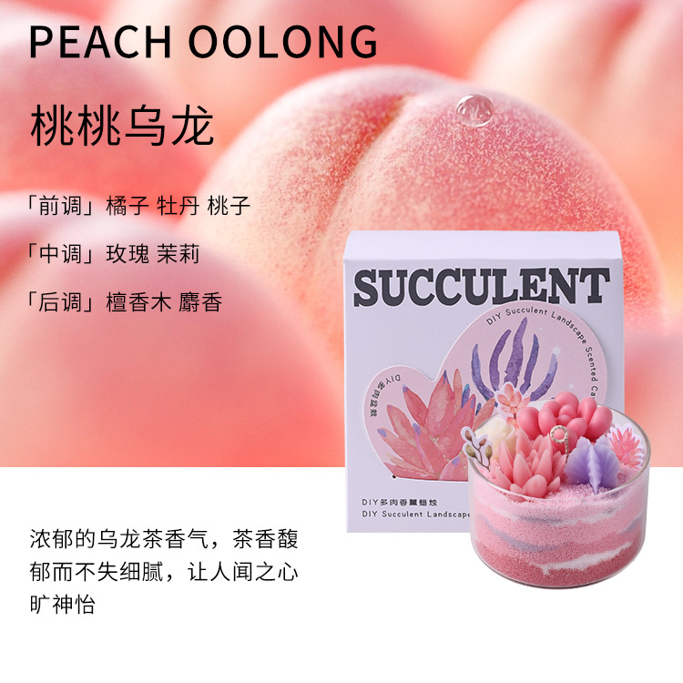 Serie de Velas Aromáticas de Suculentas DIY, Divertido Salón de Manualidades, Recuerdo con Forma de Cactus, Venta al por Mayor