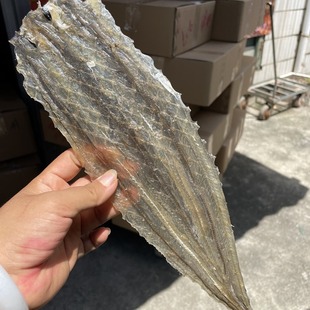 ���l���������~Ƭ ����Ƭ�n؛ �������� ΢���ζ�~Ƭ 500g����