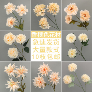 �㙉ɫ���滨��c���滨���߼��оƵ����b�Y·���������l