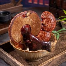 `֥ șl `֥Ƭ `֥ Ƀos ֧șz нӆ