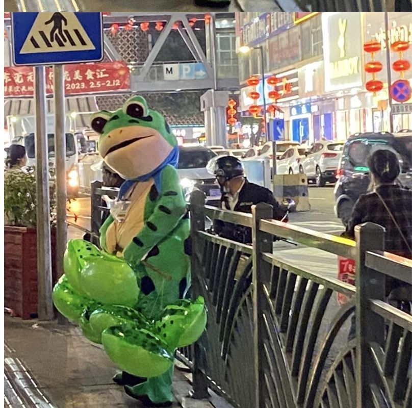 网红青蛙气球批发充气青蛙发光蛤蟆青蛙崽充气迷你小青蛙厂家详情14