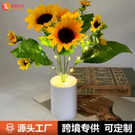 LED装饰灯;室外LED;室内LED