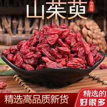 ɽș500gɽɽɽвș䁟o˗Ƥ