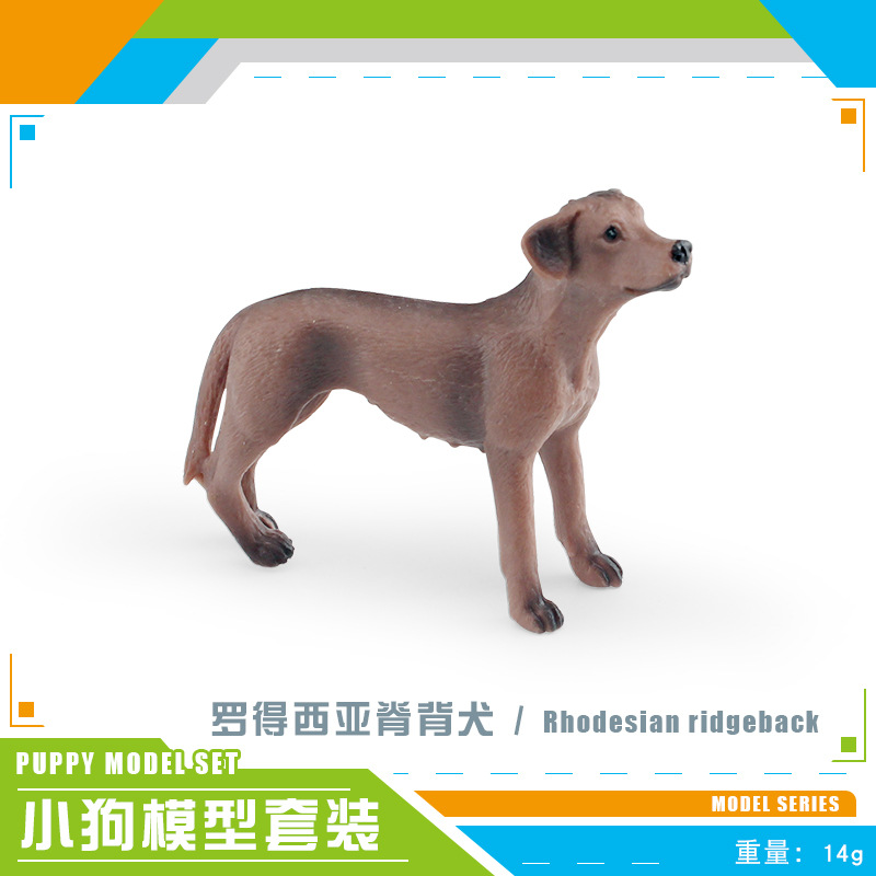 Perro Rhodesia Ridgegback PL127-2584 14g
