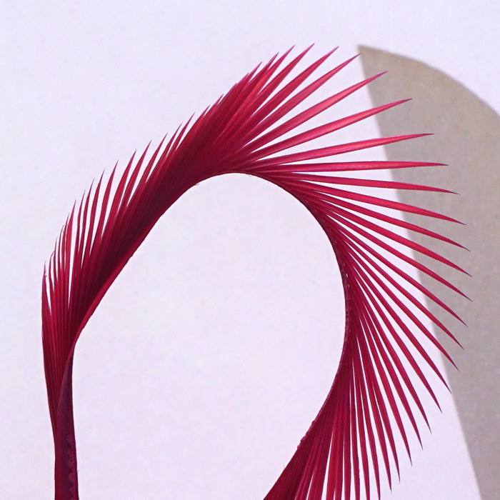 SKU-04-酒红色 50只.jpg