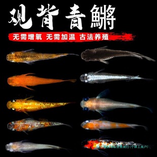 �^�����F�~������ħ���~��ˮ�ͻ���B�^�p�~С�͵�ˮ�~�ѻ��wȺ��