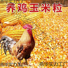 ιulBuuüϼZʳСдuBֳӌ