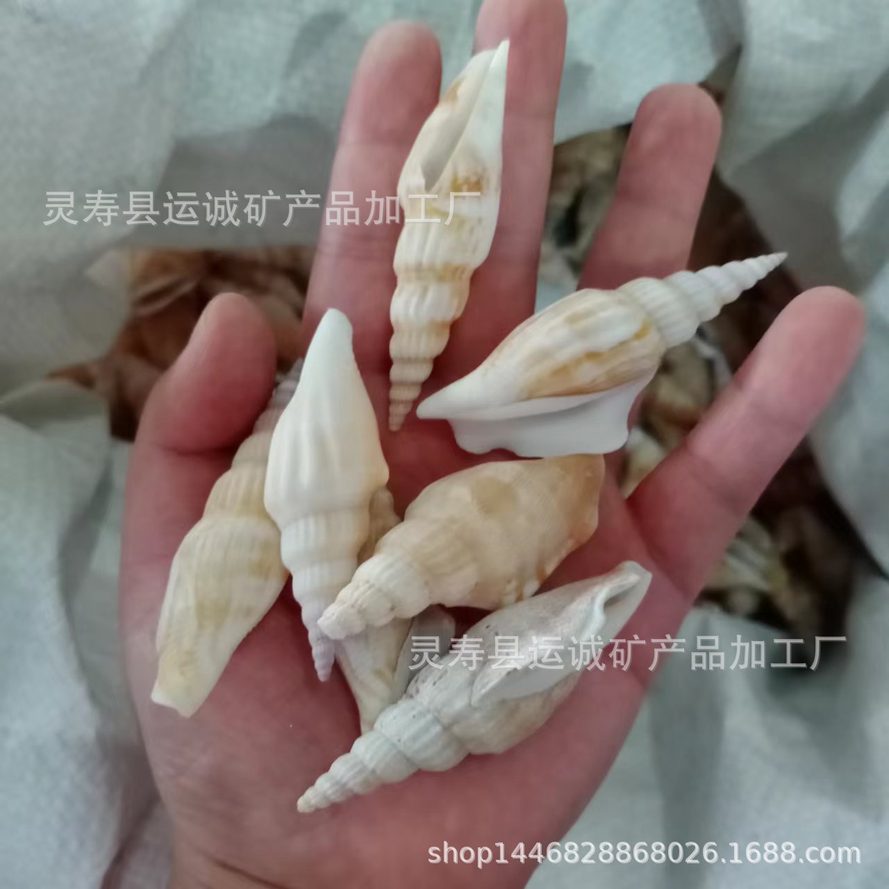 微信图片_20220919164745