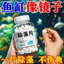 DGȥz儩̦ǃGˮȥ̦~׳