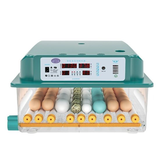 [Factory Direct Supply] Household Incubator Chicken, Duck, Goose, Pigeon Egg Incubator Automatic Household Small Incubator