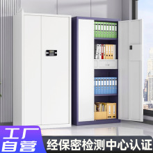 保密柜钢制加厚文件存储柜密码柜档案管理收纳柜电子密码指纹锁柜