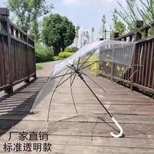 创意潮流透明伞批发直杆半自动雨伞定制长柄雨伞diy绘画伞 广告伞