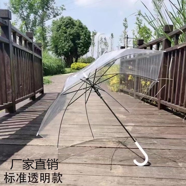 创意潮流透明伞批发直杆半自动雨伞定制长柄雨伞diy绘画伞 广告伞