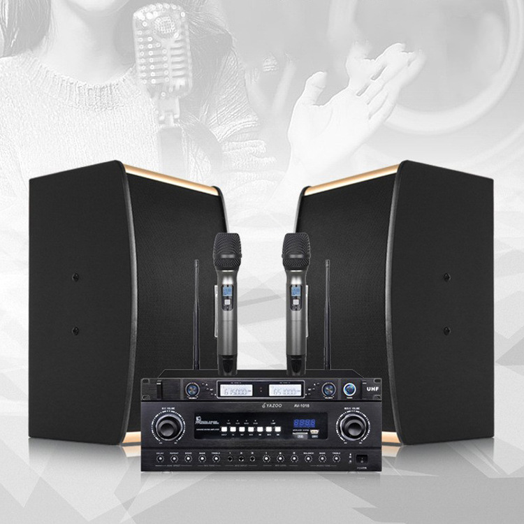 Venta al por mayor personalizado familia KTV profesional audio traje hogar karaoke Conferencia conjunto completo 10 pulgadas titular de la tarjeta altavoz