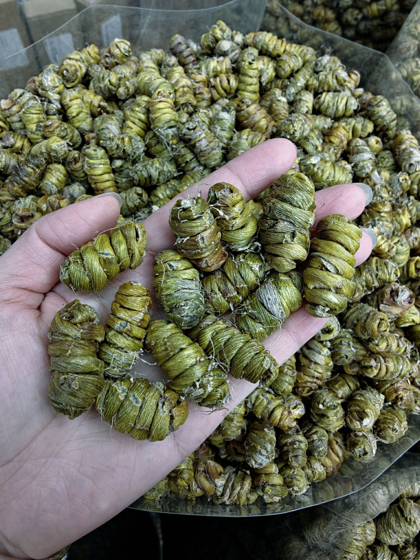 Premium Dendrobium Officinale Feng Dou Tie Pi Shi Hu Dried Stems 250g Traditional TCM Herbal Tea and Soup Ingredient overview