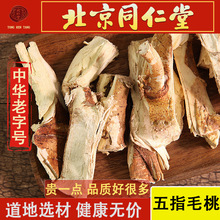 ��ָë�������ߜ���Ƭ�ɜ���������Ұɽ500����؛��؛