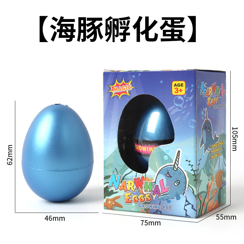 돌고래 부화 계란