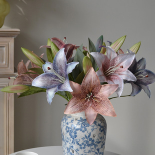 ���滨�ٻ��͹���ɫ�ٺ�3DЧ���ͮ�2�^��ˇ�Ҿ��b��W�L��ʽ