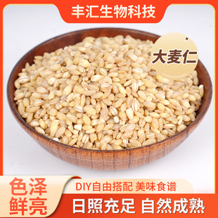 �S�ҬF؛�������ʰˌ���ԭ������ �Fĥ���{ʳ��С����ʳ