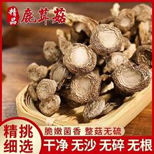 鹿茸菇干货500g鹿茸菌新鲜脆脆菇蘑姑干香菇云南菌子优级煲汤食材