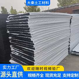 厂家网状交织渗排水网垫整体式复合反滤层复合排水隔离垫土工席垫