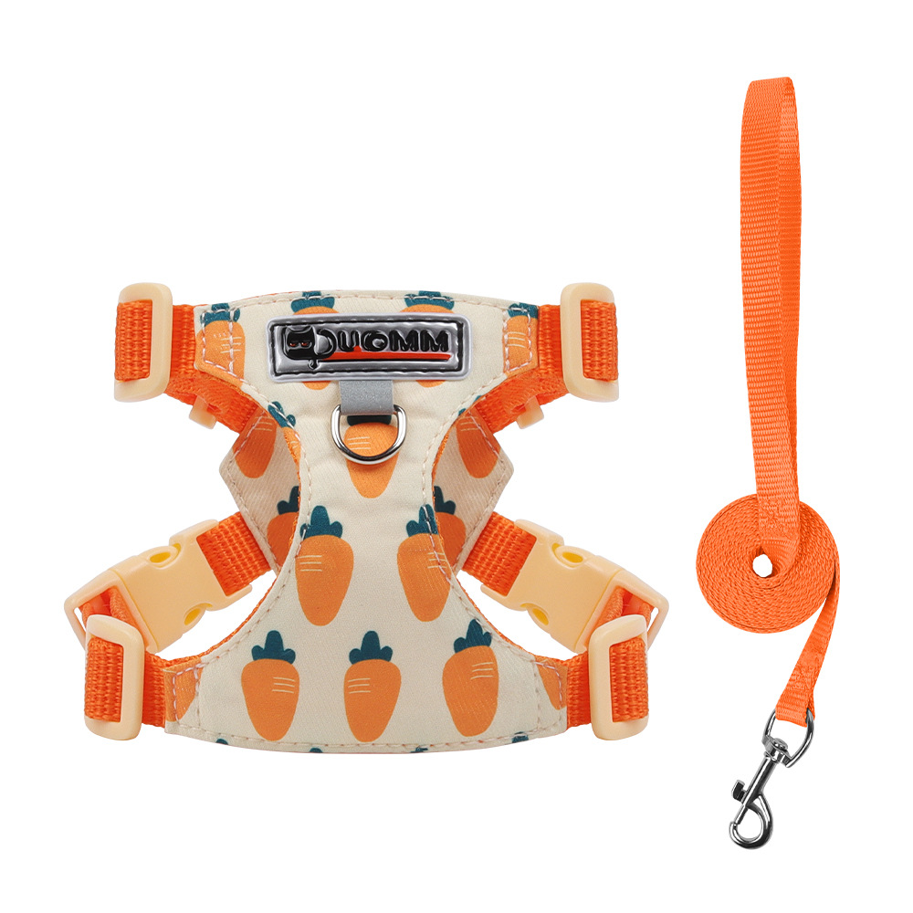 Cute Printed Dog Leash for Small Breeds like Bichon Frise And Pomeranian Casual Nylon Outdoor Walking Leash_voghion.com