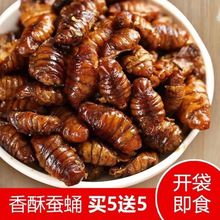 蚕蛹买5袋送5袋山东特产酥脆熟即食高蛋白肉类熟食下酒菜一件批发