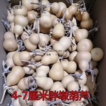 然葫芦一物一图堆文玩手捻草里金小八宝蚂蚁鸡蛋天津嘴双麦麦太保