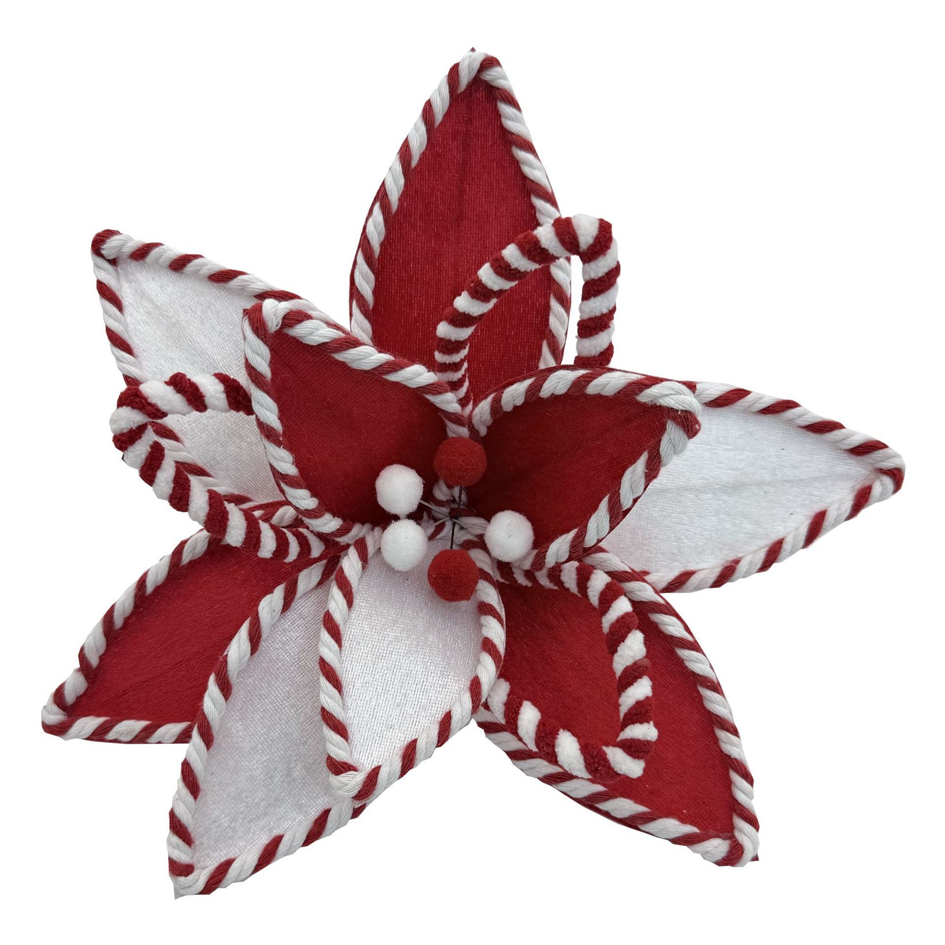 12개의 꽃잎이 있는 꽃