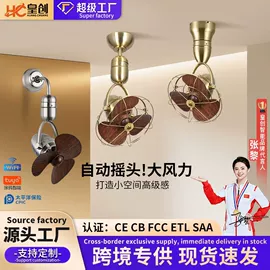 风扇灯;吸顶灯;智能家居
