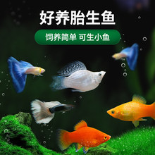 �Ꭷ�^�p�~С�͵�ˮ���B���~���^�p�~��ͥ�^�pС�~��������̥���~