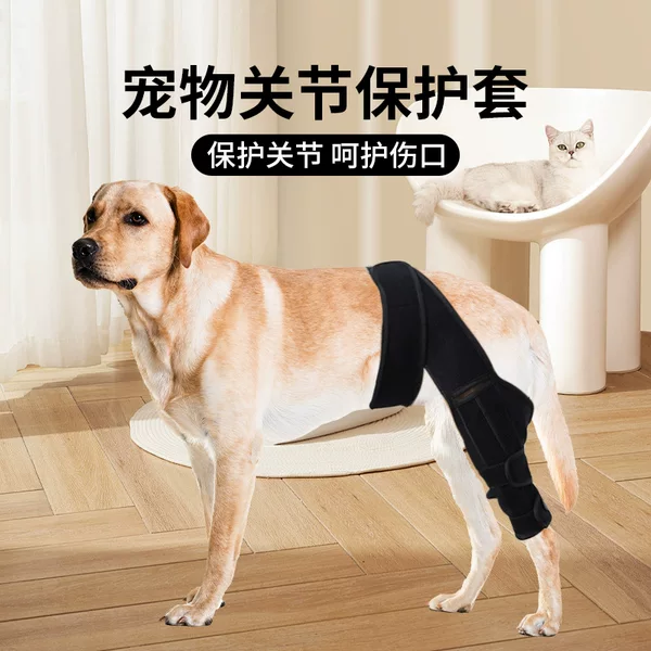 Cross-Border Pet Dog Knee Pads, Anti-Wear Leg Auxiliary Belt to Protect Joints, Leg Fracture Fixator, Postoperative Protective Gear