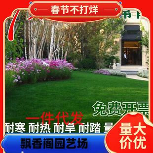 һ�����l�M�ڲ��Ѳ�ƺ�N���ļ�����ͥԺ�G���o�²����R����������