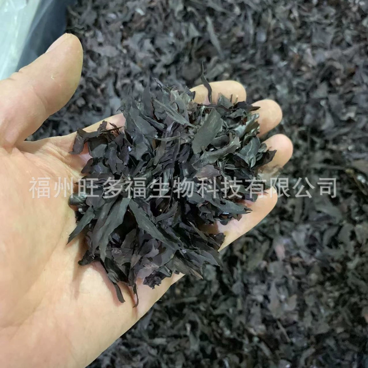 Фуцзяньский каррагинан сырье красные водоросли мелкие кусочки