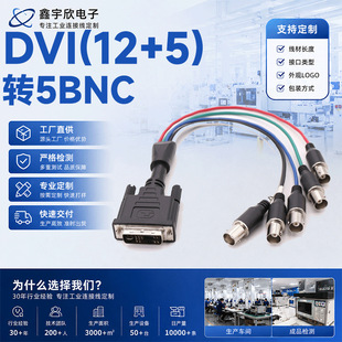����DVI12+5�D5BNC�B�Ӿ� ��ꇴ���Ļ�O��ɫ������D�Ӿ�1.5-50��