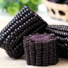 黑糯玉米种子黑玉米种子紫黑甜玉米种子玉米种子蔬菜宠物玩具种子