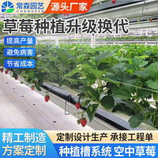 ���m����ģʽ�o��������в�ݮ�Nֲ��ϵ�yͨ�L͸��o�����g�S��