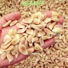 ���ӷN�� �t���ַN�� ɳ���ַN��  ���ӷN�� �t������ ������