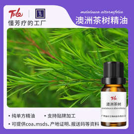 高纯度天然澳洲茶树精油芳疗 面部祛痘护肤按摩纯精油原料代工厂