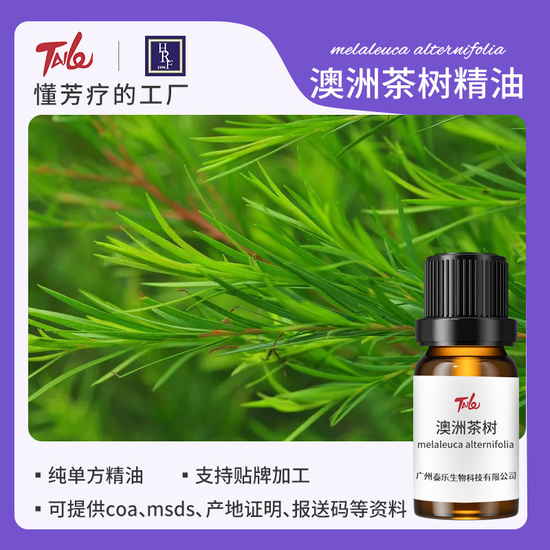 High purity natural Australian tea tree essential oil aromatherapy facial acne skin care massage pure essential oil raw material factory