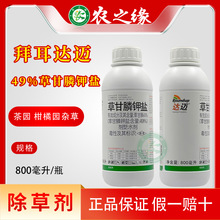 ����ݶ���ɽ���_�~�ݸ����}49% ���و@���@��@�Ǹ��س��݄�