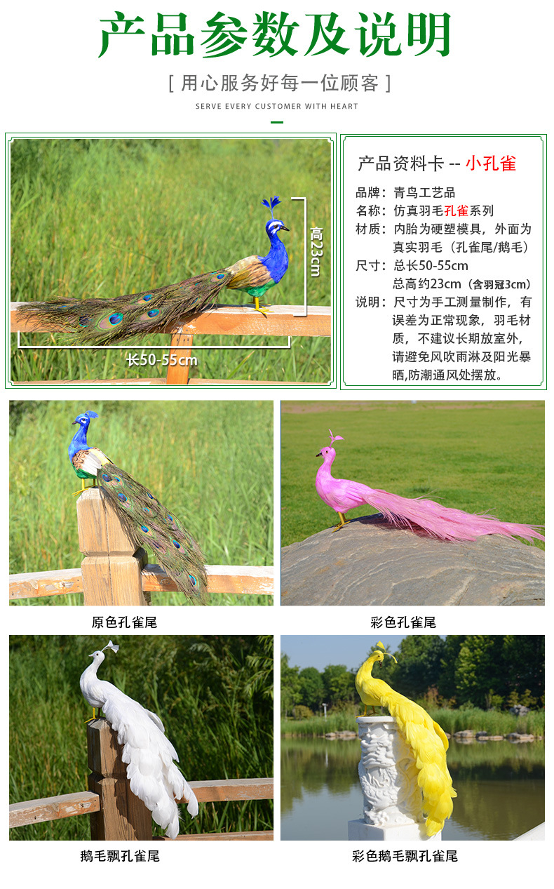 50cm孔雀详情_03.jpg