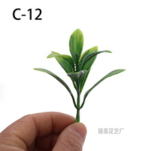 ��������ˮ����� ��÷�ݲ���ֲ� ���滨��ˇƷ���b�����ˮ��